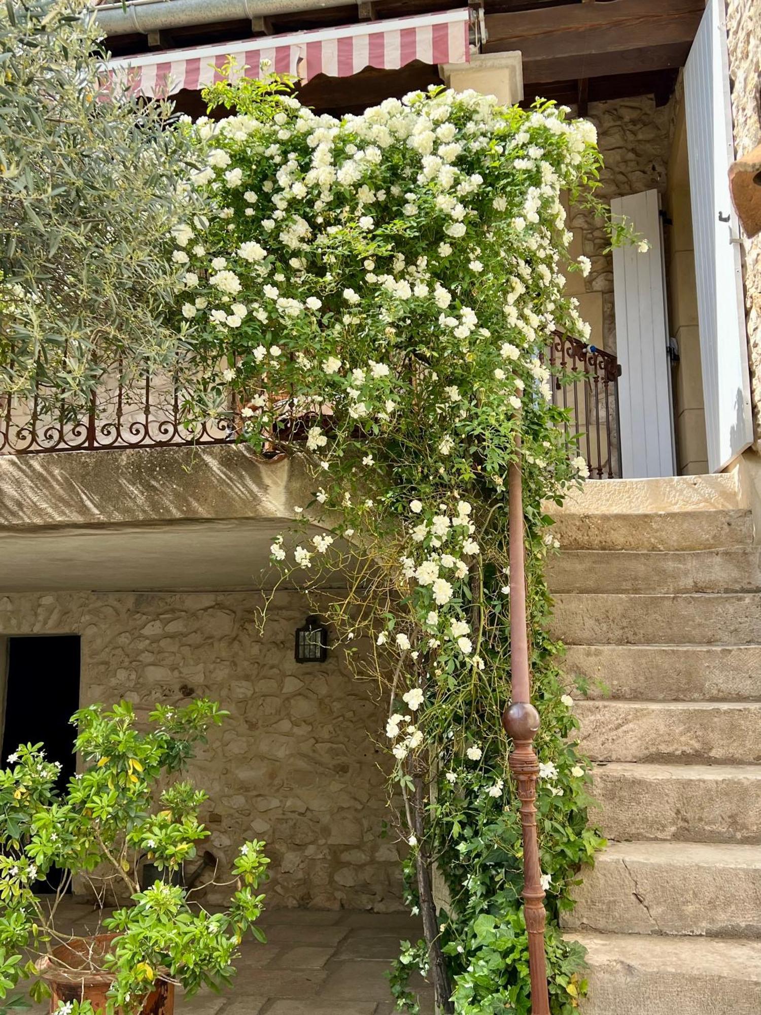 Saint-Genies-de-Malgoires La Maison Des Autres, Piscine Chauffee, Chambres D'Hotes Proches Uzes, Nimes, Pont Du Gard מראה חיצוני תמונה